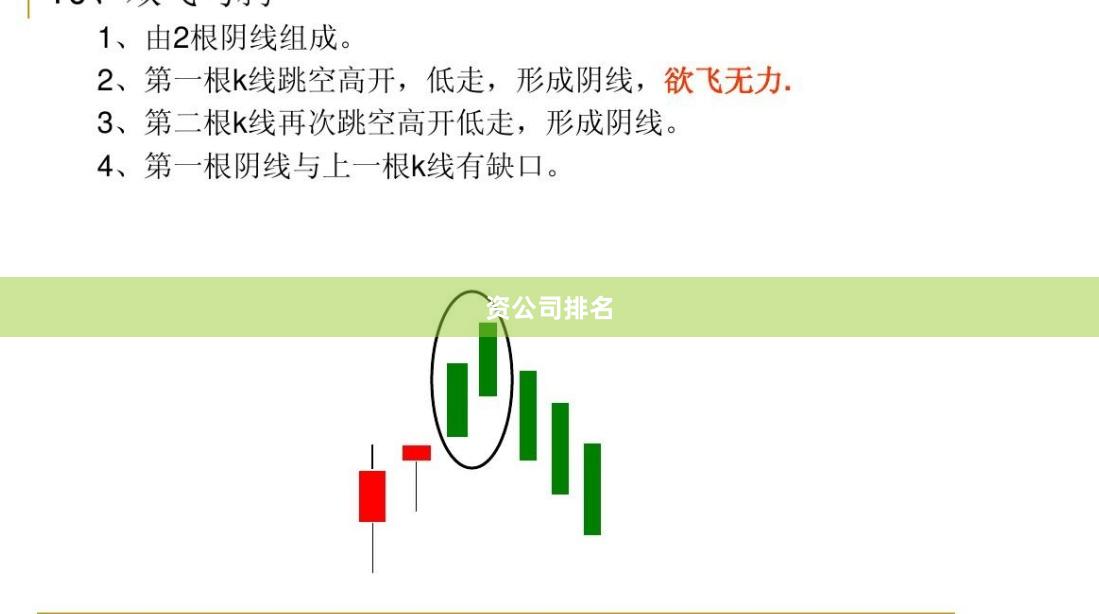 资公司排名